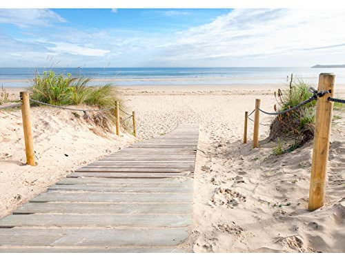 Runa Art Fototapete Strand und Meer Modern Vlies Wohnzimmer Schlafzimmer - Made in Germany - 308 x 220 cm Beige Blau 9007010b