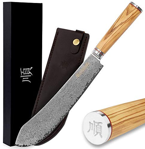 YOUSUNLONG Messer brechen Bull Nose Pro Metzgermesser 10 Zoll Japanischer VG10 gehämmerter Damaststahl italienischer Olivenholzgriff mit Lederscheide