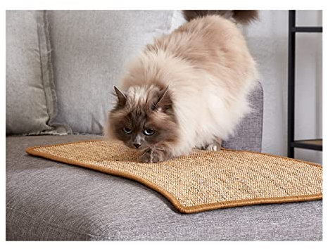 Kratzmatte für Katzen - Fußmatte Sisal Kratzteppich - natürliche Sisalmatte robust - Vorleger aus 100% Sisal - Farbe: braun 160 x 230 cm