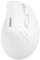 Souris Ergonomique sans Fil, Verticale Bluetooth Souris (BT5.0/4.0/2.4G), DPI à 4 Niveaux, Confort et la Réduction de la Fatigue du Poignet, Idéale pour l'Usage à la Maison, Bureau, Blanc