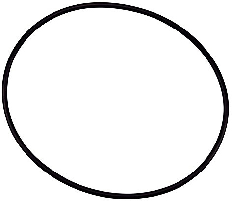 Pentair 154493 O-Ring Fermeture de remplacement pour piscine/SPA filtre et pompe