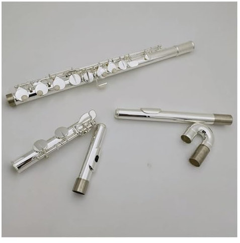 Altflöte G-Ton, 16 Löcher, Geschlossenes Loch, Versilbertes Tastenflöteninstrument Mit Koffer Querflöte kit