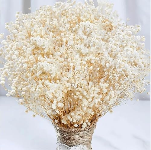 4000+ Dried Babys Breath Flowers Bulk - 17 Ivory White Dried Flower Bouquet, 100% Natural Gypsophila Branches for Vase Filler, Wedding, Table Centerpiece, Home Decor, DIY Wreath Floral, Crafts