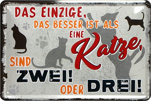 WOGEKA ART Retro Blechschild - besser als eine Katze sind zwei - lustiger Spruch als Geschenk-Idee zur Deko, 20 x 30 cm, aus Metall im Vintage Design 809