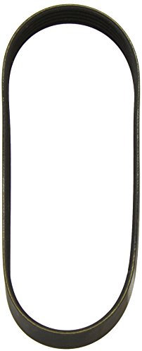 Dayco 5PK716EE Keilrippenriemen