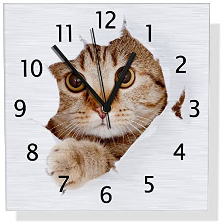 Wallario Design Wanduhr Katze mit Blick nach vorn aus Aluverbund, Alu-Uhr Größe 30 x 30 cm, Schwarze Zeiger mit Metalloptik