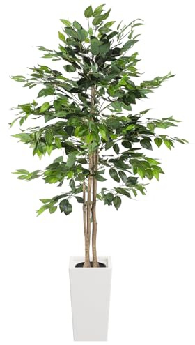 YOLEO Plante artificielle Ficus Benjamini 180 cm, Grande plante artificielle, avec pot blanc, Arbre artificiel Ficus comme du vrai, Figuier bouleau pour salon, bureau, jardin, décoration intérieure