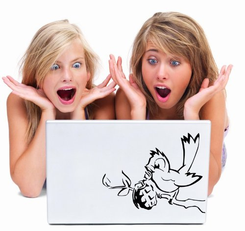 Broomsticker Banksy Bird With Grenade Laptop/Car/Wall Sticker 15cm x 20cm, Normal