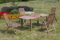 MERXX Ausziehtisch Modern, 150 (200) x 90 cm, Natur