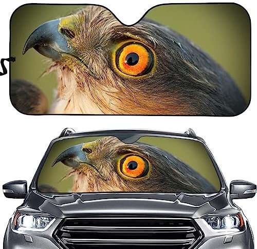Hixingo Auto Sonnenschutz Windschutzscheibe Sonnenschirm, Tieraugen Druck Faltbares Frontscheibe Sonnenblende UV Schutz, Frontscheibenabdeckung für meisten Autos (Vogel-Augen)