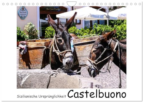 Sizilianische Ursprünglichkeit Castelbuono (Wandkalender 2026 DIN A4 quer), CALVENDO Monatskalender: Idylle im sizilianischen Dorf Castelbuono (CALVENDO Orte)