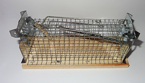 Alma Garden Mausefalle, Lebendfalle, Kastenfalle, Drahtkastenfalle, 1 Eingang 15x6x6 (LxBxH)