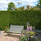 Gardline - Lebensbaum Thuja Brabant 140-160 cm IM Topf. 3-200 Heckenpflanzen. Thujahecke - 4 St. (ca. 1,5 Meter)