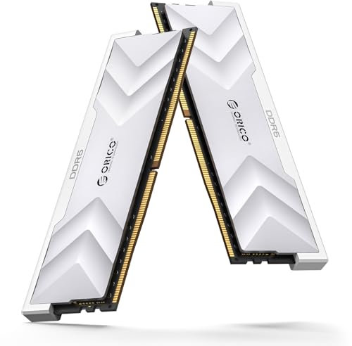 ORICO Raceline Champion DDR5 RAM 32GB (2x16GB) 6400MHz CL32, Memoria Desktop Compatibile con XMP3,0 e AMD EXPO, Bassa Latenza,ON-die ECC, DIMM Unbuffered Ottimizzato per il gioco, Argento H500