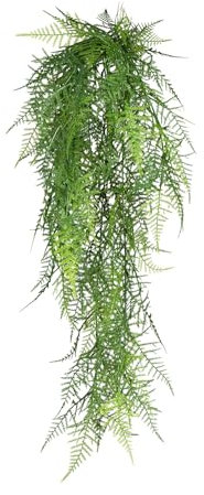 Gasper Künstlicher Asparagus Plumosus Hänger Zierspargel 6 Zweigen grün L. 75cm