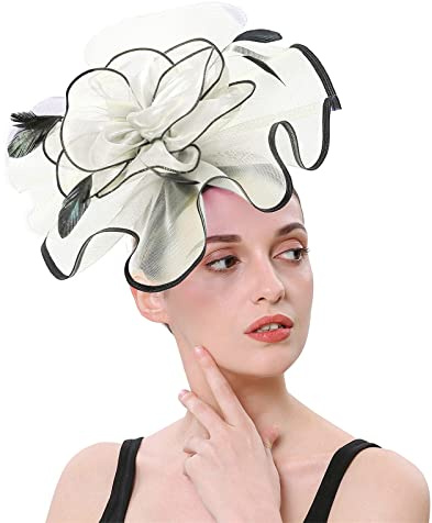 MILAX Fascinator Damen Women's Fascinator Hair Clip Hat Mesh for Costume Carnival Theme Party Feder Netz Schleier Party Hüte Fascinator Wedding Ascot Hat Birdcage Veil