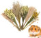 Gwtdtoad Hamster Heublumen Einstreu Natürlich Getrocknete Blumen Und Pflanzen Hamster Einstreu, Geblümtes Hamsterkäfig Zubehör Für Sommer Desodorierungs Und Landschafts Zubehör 25 cm