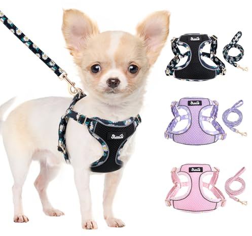 Eyein Hundegeschirr für Kleine Hunde mit Leine, Atmungsaktiv Air Mesh | Verstellbarer & Reflektierend, Leichtgewicht Step-in Brustgeschirr für extra kleine/kleine mittelgroße Hunde (Schwarz, XXS)