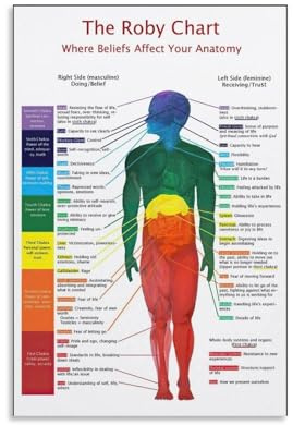 MQXFCZUX Anatomy Chart Poster - Human Body Systems Illustration, Science & Medical Reference Wall Art Unframed,16x24inch(40x60cm)