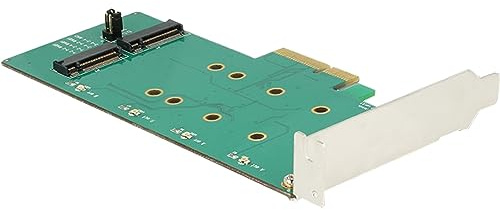 DeLock PCI Express Karte > 2 x intern M.2 Key B mit RAID - Low Profile Form Faktor