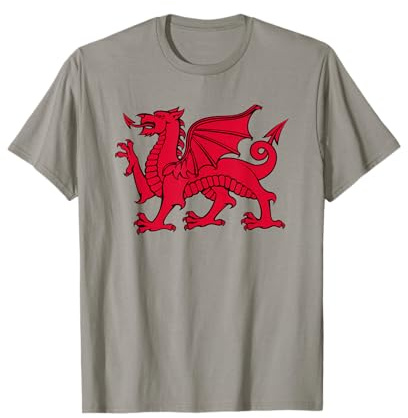 Welsh Red Dragon Flag of Wales T-Shirt T-Shirt