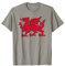 Welsh Red Dragon Flag of Wales T-Shirt T-Shirt
