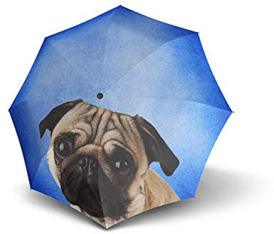 doppler Langschirm Modern Art Long Automatic – Sehr leicht – Automatik – Stylisches Motiv – Lazy Dog