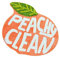 Peach Clean Badematte, Badezimmer Dekor Bereich Teppich Peachy, Weich & Saugfähig Plüsch Korallen Stoff, auch für Schlafzimmer Kinderzimmer, rutschfest waschbar