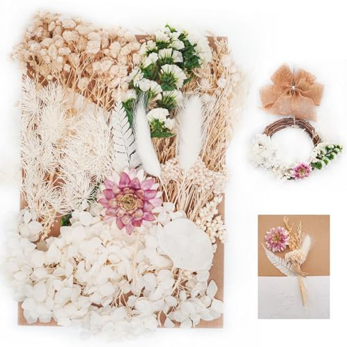 AIM & GGKK Natürliche Trockenblumen Klein Beige,Strohblumen getrocknet Zum Basteln für DIY-Kerzenharz, deko hochzeitsgeschenk,Karten Deko,Trockenblumen Weihnachten,Geschenkverpackungen