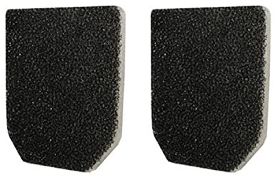 Electrolux WellQ Filter Kit EFKW2 Convient pour aspirateur à tige WellQ6-Q8, Filtre à deux couches, Lavable, Noir