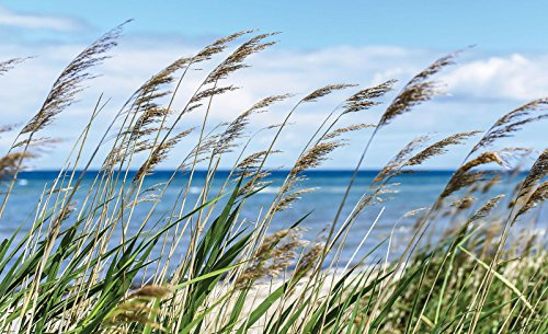 Forwall Vlies Fototapete Landschaft 368x254 cm Strand
