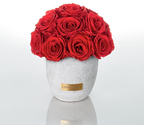 EG EMMIE GRAY Solid Infinity Collection - Traumhafte Infinity Rosen, 1-3 Jahre haltbare Rosen, Betonvase mit echten, konservierten Rosen, edle Premiumrosen - Größe S (Vibrant Red)