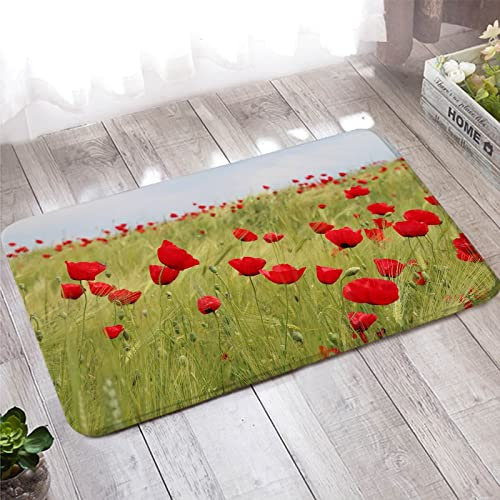 Teppich Küche, Fußmatte Schmal 60X180cm Hellgrün Rot Gras und Blumen für Badezimmer Küche