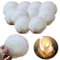 Coquillage Décoration Lot de 10 Coquilles Saint Jacques, Naturel Grand Coquille Blanc Décorations de Coquille Coquillages pour Mariage Plage et Océan Crafts la Décoration pour Cuisine (7-12cm)