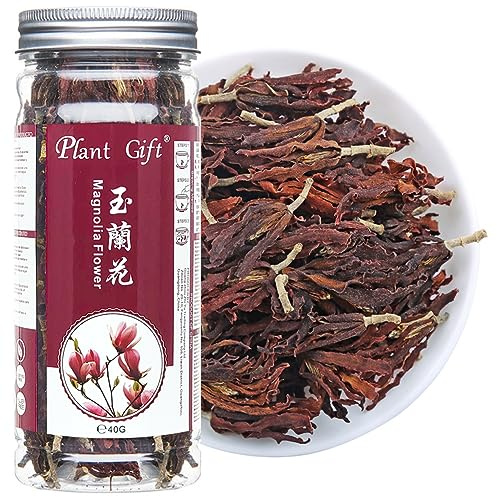 Plant Gift Dried Magnolia Tea 40g/1.41 玉兰花茶 Premium essbare Magnolienblume, Blumenkraut Lose Blatt chinesischer Tee, duftende natürliche gesunde Kräutertee