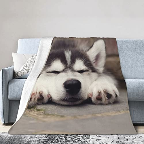 Husky-Hundedecke, Decken, superweiche Mikrofleece-Decke für Bett, Couch, Wohnzimmer.