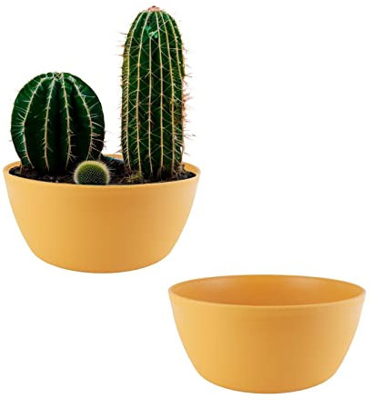 ECOMACETAS FLOWERPOT STORE Maceta Cactus, Maceta para Mini Cactus, Suculentas, Crasas o Bonsai. Maceta Redonda Baja Amarilla. (2, 25 cm)