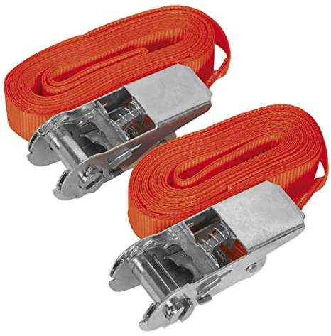 Sealey Self-Securing Ratchet Straps 25mm x 4.5m 500kg Breaking Strength - Pair - TD05045E
