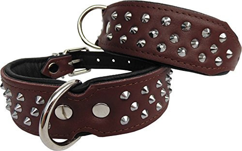 Leder Halsband - Hundehalsband, Nieten, Halsumfang 33-41cm/45mm, BRAUN - Schwarz, NEU (897)
