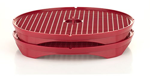 Börner Crispymaker (2er Set/Rot) • Chips Macher für die Mikrowelle • Chip Maker für kalorienarme Chips ohne Fett • Frische Chips selber machen • Kartoffelchips & Gemüsechips Maker