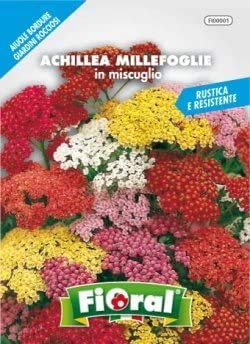 Sementi da fiore di qualità in bustina per uso amatoriale (ACHILLEA MILLEFOGLIE IN MISCUGLIO)