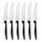 Comas steak knife BOJ Set of 6, couteau à viande, acier inoxydable, finition miroir, 22.1 cm