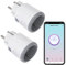 ZigBee Alexa Enchufe, 16A Enchufe inteligente con medición de corriente, 3680W smart plug con control remoto/control de voz, Enchufe programable con temporizador, Compatible Alexa Google Home,2 Pack