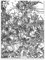 Kunstposter Die vier Reiter der Apokalypse, Albrecht Dürer, Gothic-Kunstposter, Geschichtsmalerei, Kunstdrucke für Zuhause, Büro, Dekoration, ungerahmt (30 x 40 cm)