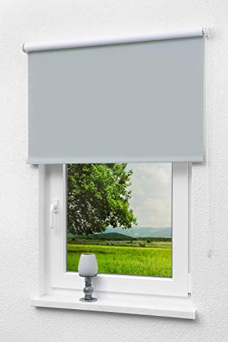 LYSEL - Qualitätsrollo abdunkelnd fenstergrau, (B x H) 213cm x 190cm in grau/fenstergrau