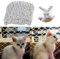 DHGTEP Kinder Sicherheit Netting Gebäude Seil Gegen Fallende Netz Nylon Netz Balkon Fenster Treppe Schutz Safe Zaun Katze Hund (Length : 8m, Width : 2.5m)
