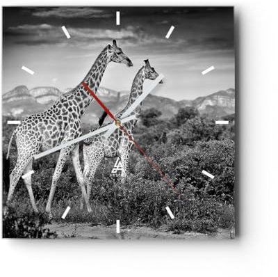 Modern Wanduhr Giraffen Schwarzweiß Fotografie 30x30cm Quadrat Klein Wand Uhr Glas Analog Zimmeruhren Küche Büro Wohnzimmer Glasuhr Wall Clock Dekoration Design Wanddekoration Küchenuhr C3AC30x30-4441