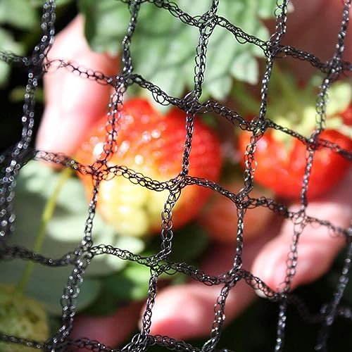 Oakland Gardens Anti Bird Netting 2m 4m 6m 8m 10m 12m Net Fruit Pond Garden Bird Flu Protection (6meter x 5m Netting)