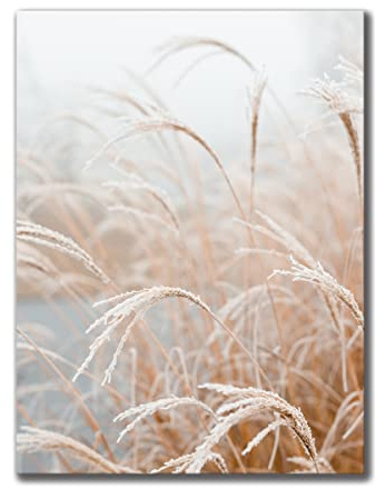 Leinwandbild Grasses II 60 x 80 cm | Bild auf Leinwand im Hochformat in sanften monochromen Farben | Gras Feld Wiese Natur Blumen Trockenblumen | Wohnzimmer Schlafzimmer Flur | Deko Home Einrichtung