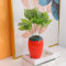 Arawat Erdbeer Vase Deko Wohnzimmer Modern Vasen Rot Strawberry Decor Erdbeervase Schöne Blumenvase Deko Aesthetic Blossom Vase Rote Beere Tulpenvase Himbeere Vase für Pampasgras Blumen 15x11x11 cm